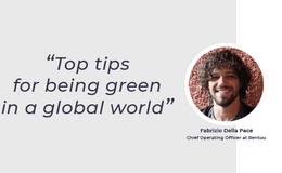 Top tips for being green in a global world