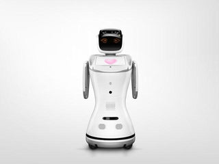 Sanbot S1 Robot Robot